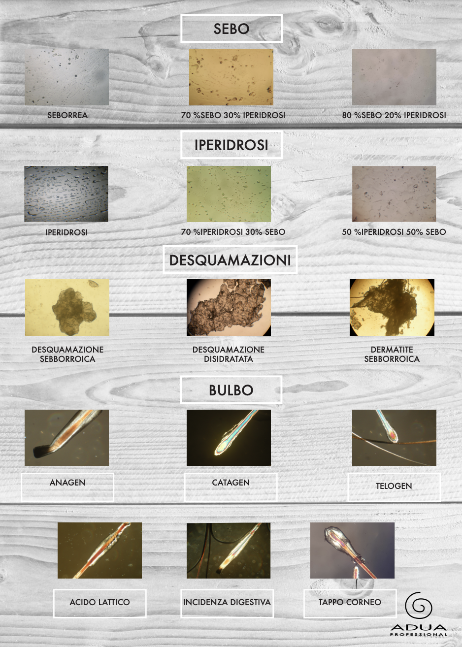 Report Tricologico 1